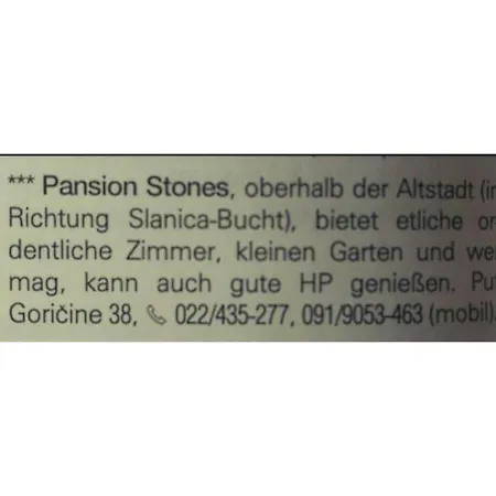 Pansion Stones Homestay *