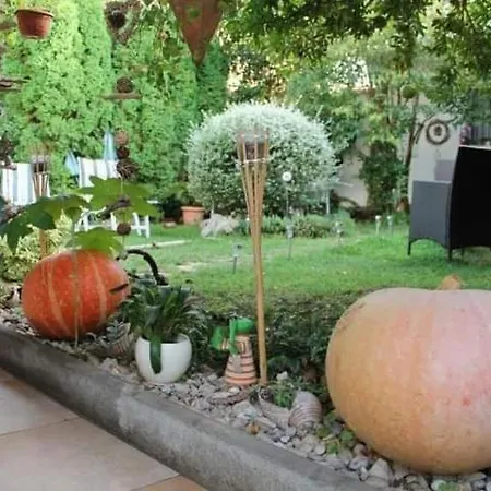 Pansion Stones