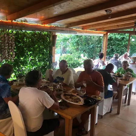 בית אירוח Pansion Stones