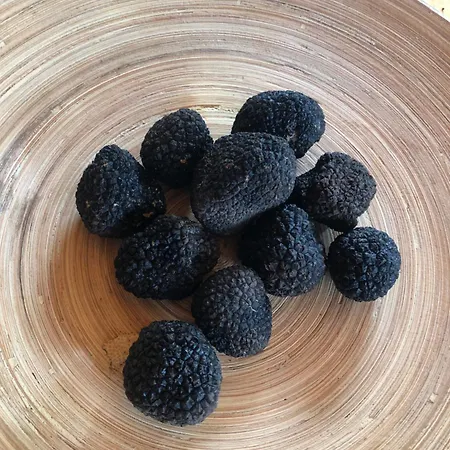 בית אירוח Pansion Stones *