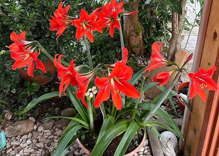 Pansion Stones Habitación en casa particular *
