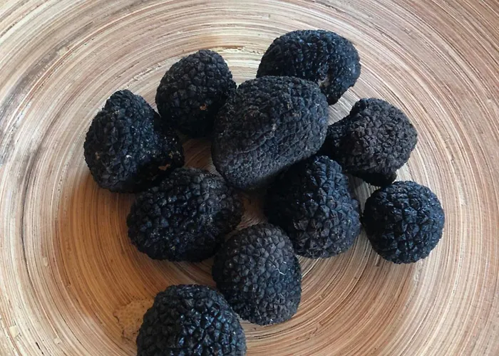 Habitación en casa particular Pansion Stones *